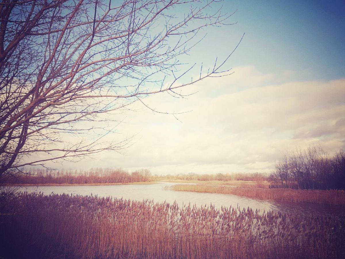 索恩之家住宿加早餐旅馆 Fen Drayton 外观 照片
